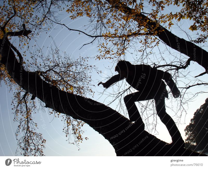 walking on trees Human being Sky Going Tree Clouds Man Complex Shoot Back-light hunting contrast hard outdoor shooting contra-jour