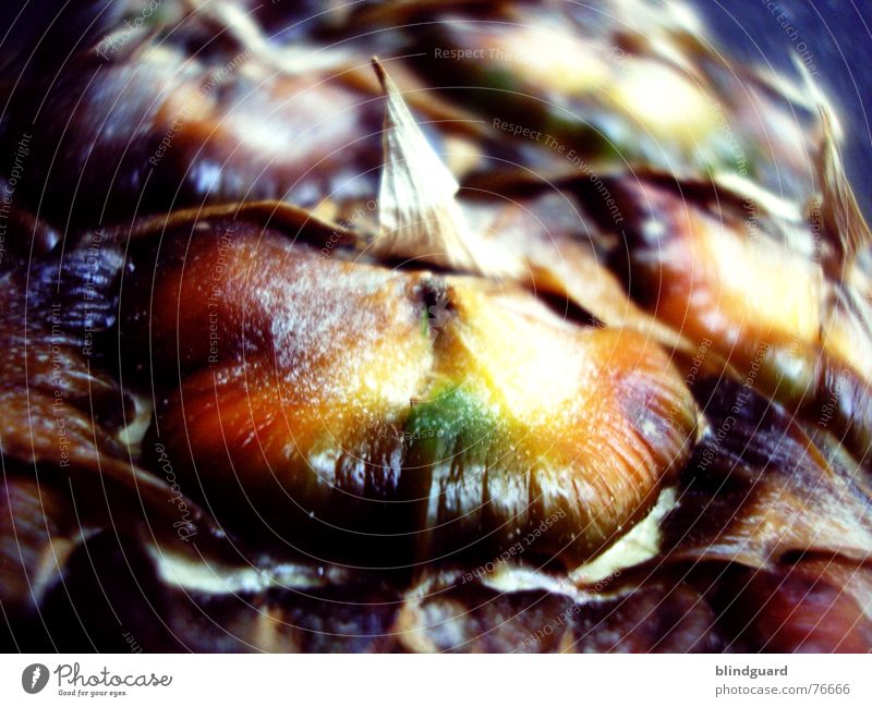 Close to Ana Near Macro (Extreme close-up) Green Yellow Brown Vitamin Delicious Sweet Fresh Nutrition Healthy Juicy Pineapple wrinkle Bowl Tropical fruits Fruit