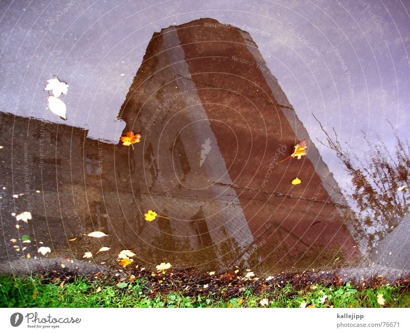 sky over berlin II House (Residential Structure) Puddle Leaf Autumn October Wall (building) Pankow Sky image rotated 180 degrees Lawn Wedding kallejipp