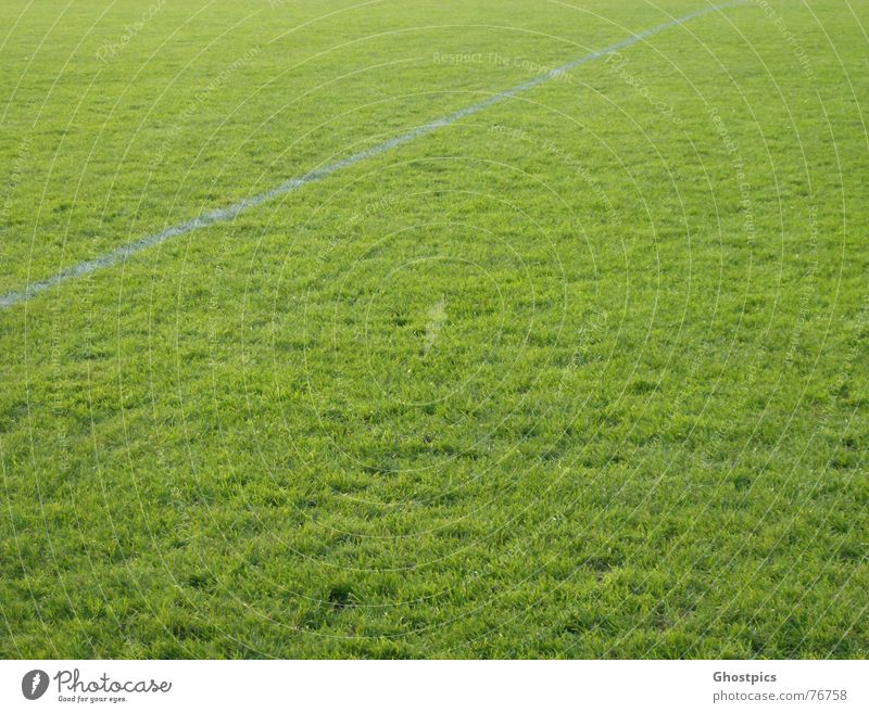 White in the green Grass Line Green Soccer Lawn