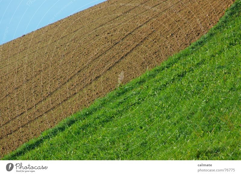 - agrarimpresions I- Field Meadow Play of colours Short Forwards Autumn Green Brown Sky that Blue Beautiful weather