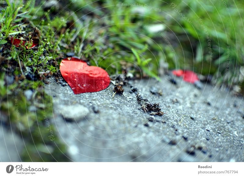 Love is everywhere Valentine's Day Wedding Nature Meadow Stone Heart Happy Infatuation Romance Lovesickness Divide Relationship Colour photo Detail