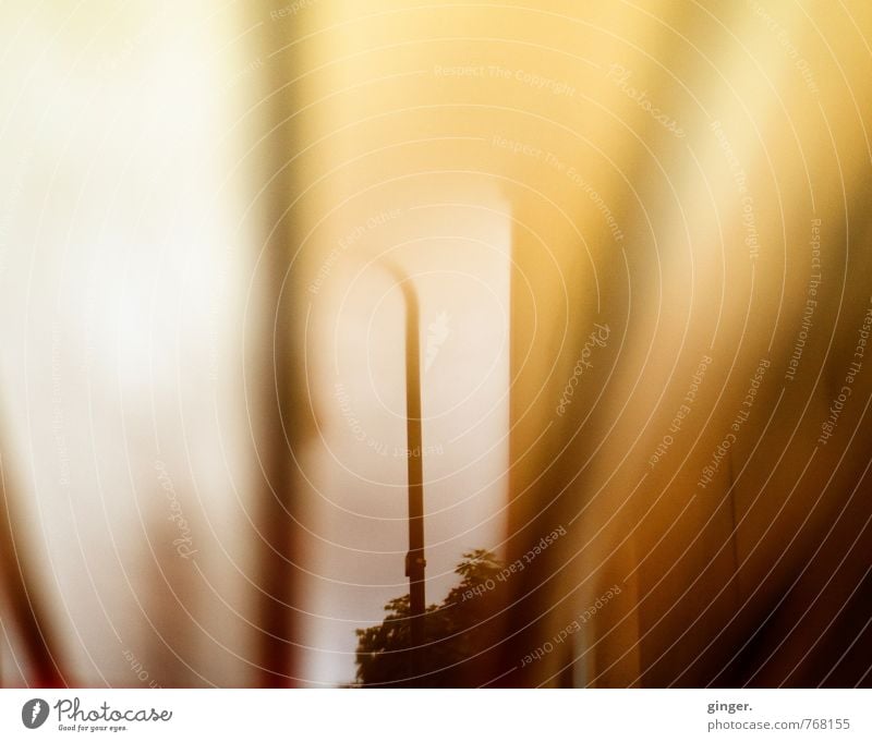 Once upon a time in Ehrenfeld... Water Sky House (Residential Structure) Wall (barrier) Wall (building) Soft Brown Reflection Water reflection Puddle Lamp post