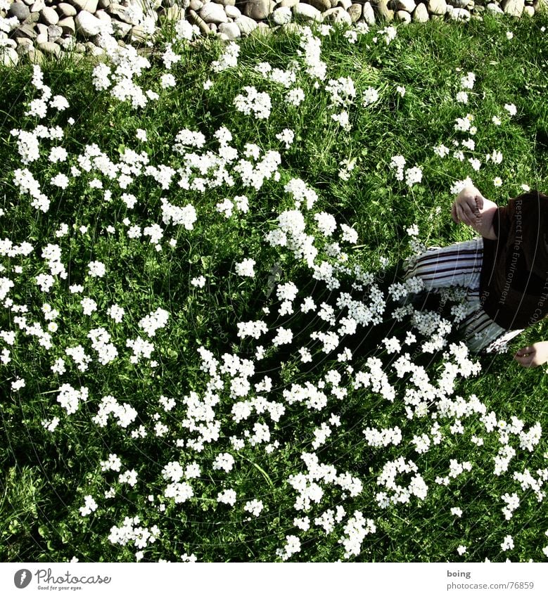 clearly intact world Meadow Clouds Flower Mother's Day Fresh Child Visual language Zen Ladys smock Spring Joy picking feng shui spring in your head