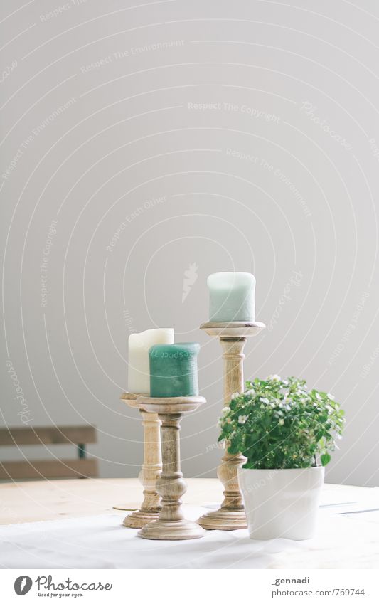 At home it is most beautiful Vase Tablecloth Candle Decoration Green Mint green Dining room Elegant Putrefy Considerable Chic Hip & trendy Flower Colour photo