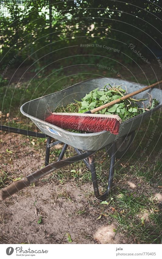 wheelbarrow Broom Wheelbarrow Nature Plant Leaf Foliage plant Garden Work and employment Gardening Colour photo Exterior shot Deserted Day