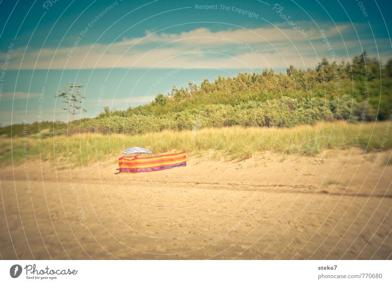 Baltic beach Summer Beautiful weather Warmth Forest Beach Colour Vacation & Travel Dune Sunshade Baltic Sea Loneliness Hiding place Colour photo Exterior shot