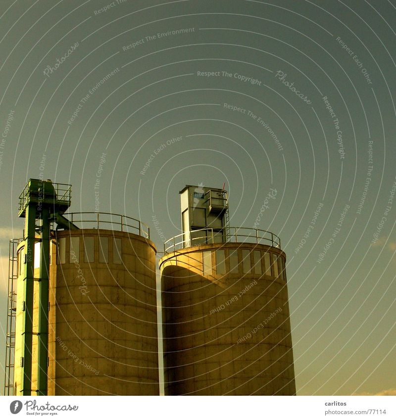 where planing takes place, there Silo Lumber industry Twin Signs of the Zodiac planing mill Shavings chip bunker Tower Storage 21. 5 to 21. 6 In pairs