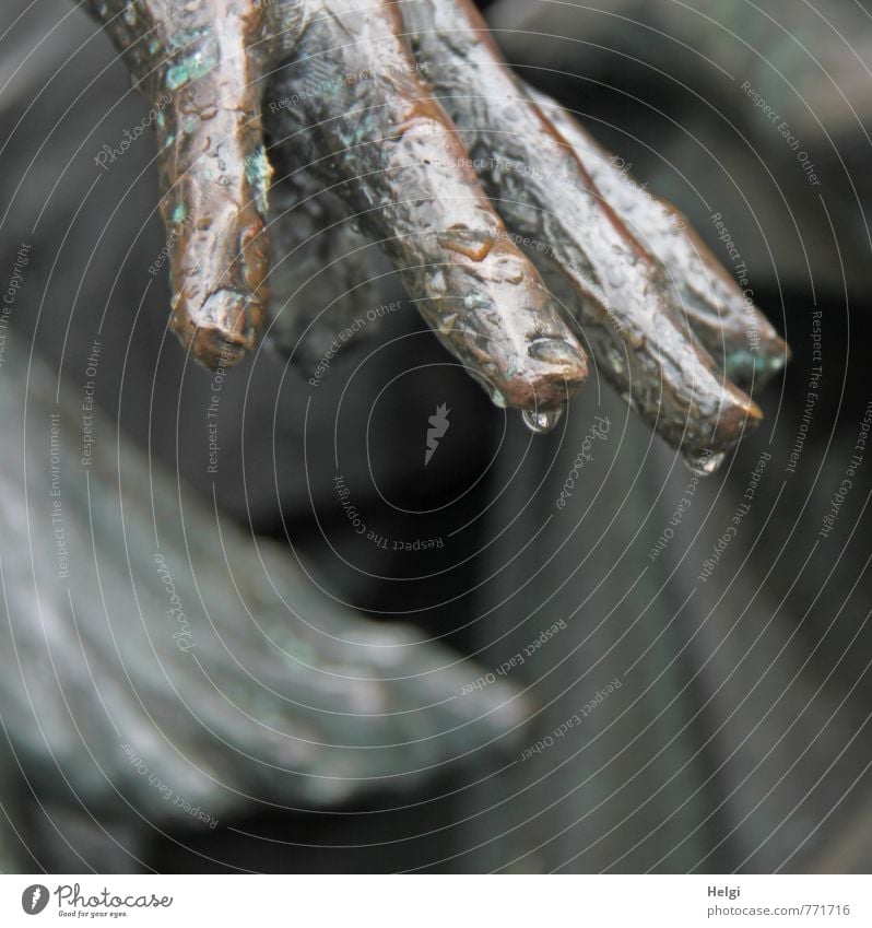 palm and foot Art Work of art Sculpture Hang Stand Exceptional Dark Uniqueness Brown Gray Moody Calm Unwavering Grief Death Culture Change Rain Drops of water