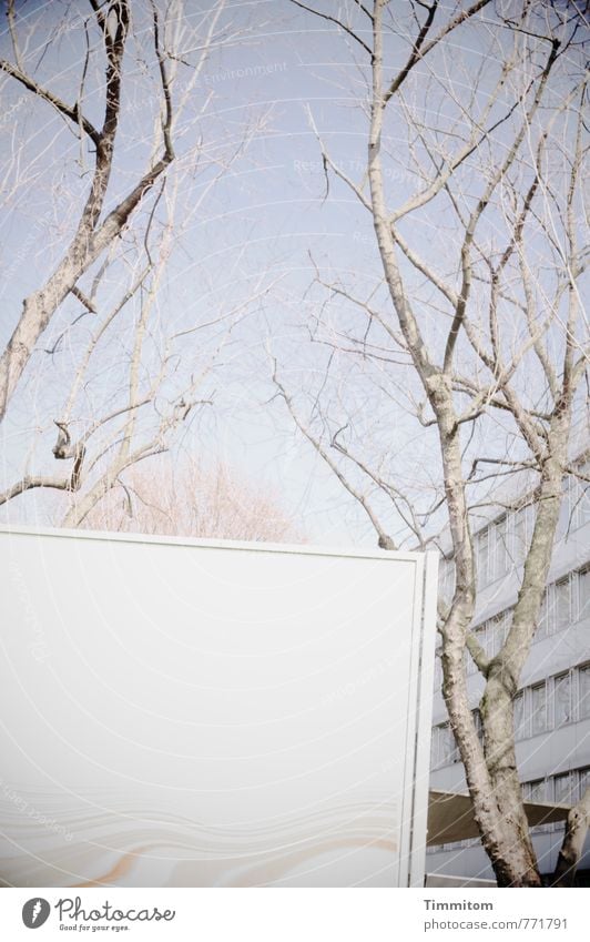 The message. Sky Autumn Poster Billboard Blue Gray Building Tree Bleak Pallid Empty Colour photo Exterior shot Deserted Copy Space bottom Day