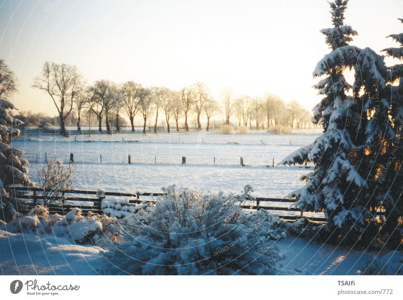 Sunset in winter Winter Snow