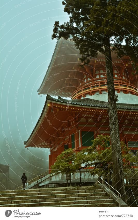 temple Human being Feminine Young woman Youth (Young adults) Tourist Attraction Monument Exotic Temple Pagoda Pagodal roof Red Fog Mysterious Mystic Buddhism