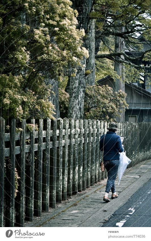 go Human being Feminine Young woman Youth (Young adults) Woman Adults 1 Going Sidewalk Fence Garden Umbrella Reading Street Hat In transit To go for a walk Tree