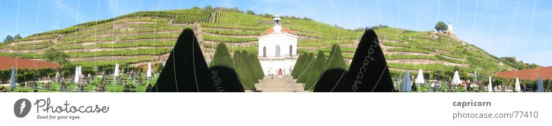 Court view Wackerbarth Castle Panorama (View) Vineyard Culture Exterior shot Radebeul brave art courtyard view Large Panorama (Format)