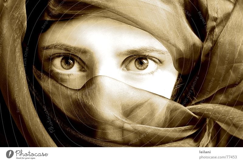 Arabic Vail Arabia Woman Eyes Sepia Looking Contrast