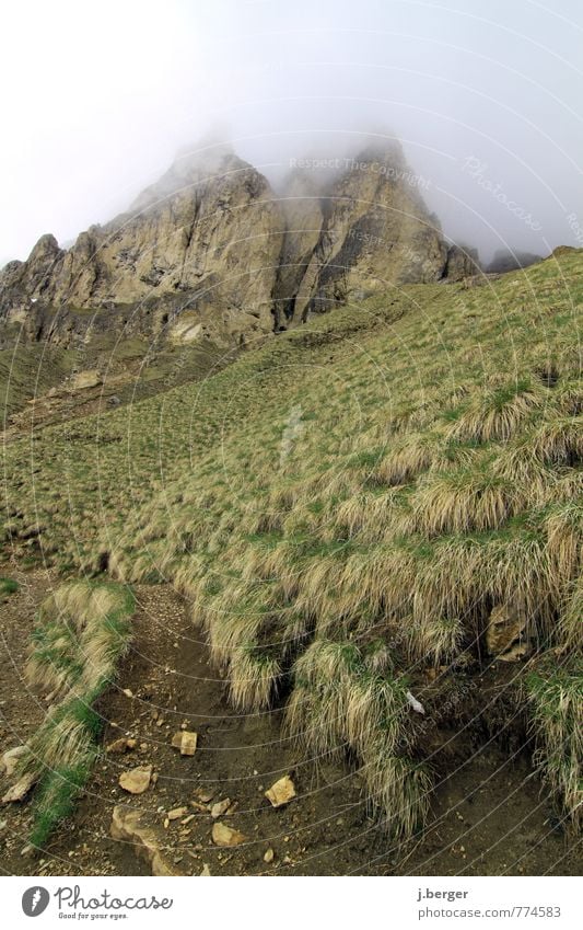 summit Adventure Far-off places Freedom Mountain Hiking Environment Nature Landscape Plant Earth Clouds Fog Meadow Hill Rock Alps Peak Lanes & trails Threat