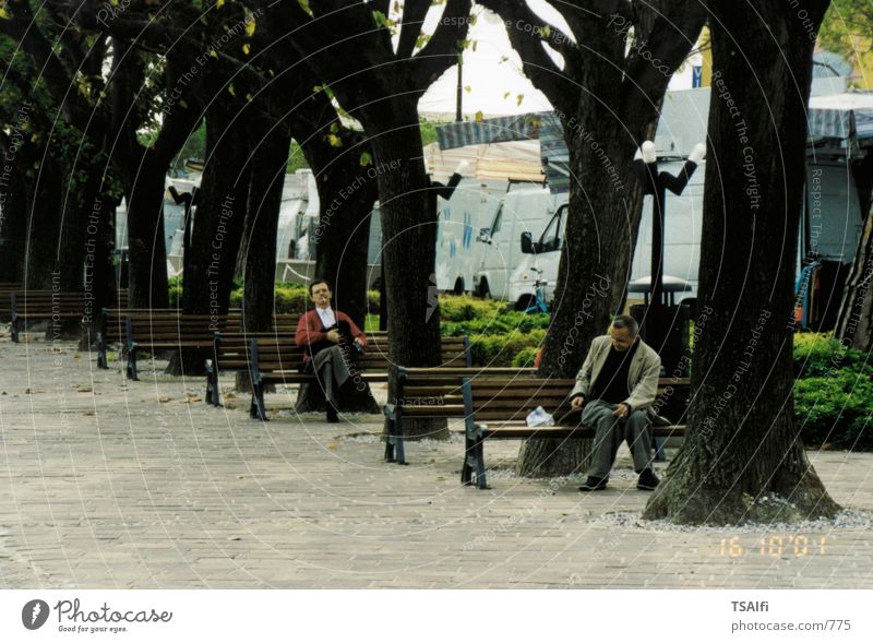 park benches Park bench Tree Human being