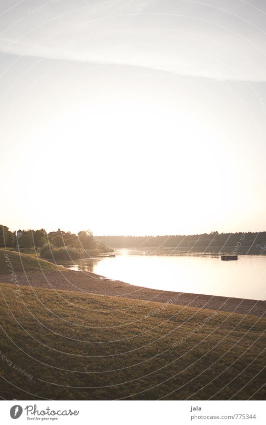 quarry pond Environment Nature Landscape Sky Clouds Sun Sunrise Sunset Sunlight Summer Beautiful weather Plant Tree Grass Bushes Lakeside Lake Baggersee