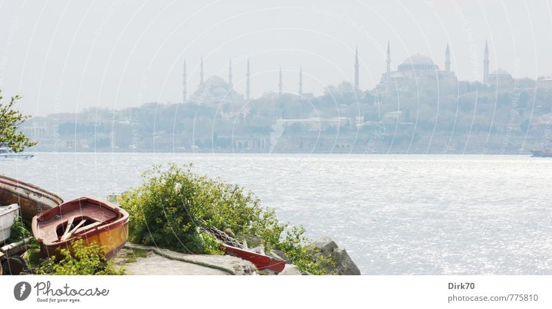 Asian Perspective I Vacation & Travel Tourism City trip Sun Sunlight Beautiful weather Bushes Foliage plant Rock Waves Coast Ocean The Bosphorus Istanbul Turkey