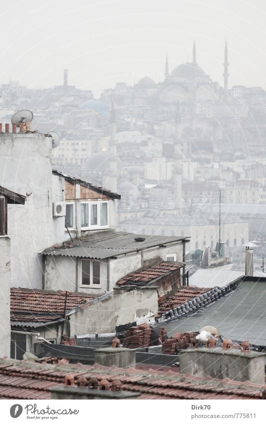 Two sides of the Golden Horn Tourism City trip Spring Bad weather Fog Istanbul Turkey Overpopulated House (Residential Structure) Tower Mosque Minaret