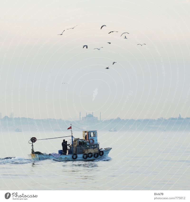 Bring in the catch Fish Seafood Fisherman Fishery Beautiful weather Coast Ocean The Bosphorus Sea of Marmara Istanbul Turkey Port City Hagia Sophia Blue Mosque