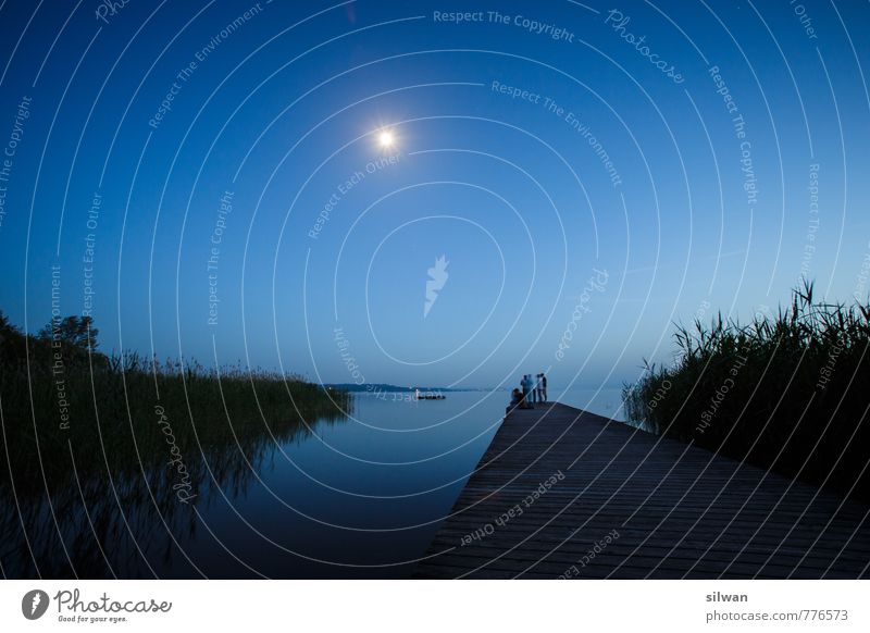 Moonlight Bridge #3 Nature Landscape Cloudless sky Horizon Summer Beautiful weather Common Reed Lakeside To talk Dark Gigantic Glittering Infinity Cold Wet