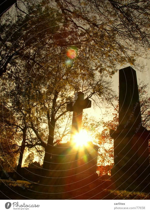 Gravestones against the light Common good Evangelical crusade Vestry Theism Agnostic Opinion Religion and faith Deities Responsibility Remembrance Day Souvenir