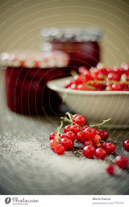 Make some jam Maria Food Fruit Jam Nutrition Bowl Healthy Sweet Redcurrant Jam jar redcurrant jam Self-made Preserving jar jam sugar Sugar Colour photo