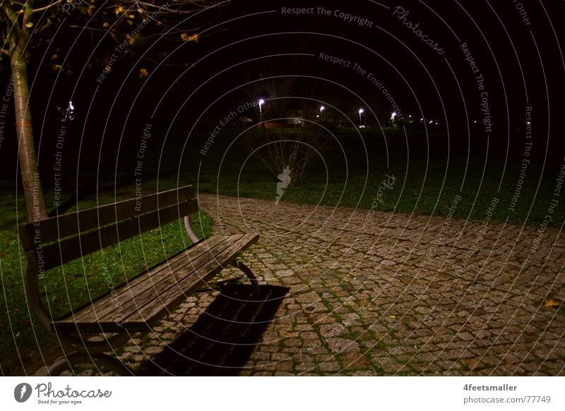 Leave me Loneliness Dark Park Tree Meadow Autumn Cold November Waltershausen Bench leave Lanes & trails cobblestone pavement Shadow unattached Empty