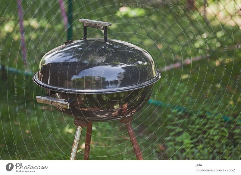 barbecue Nature Plant Grass Garden Meadow Barbecue (apparatus) BBQ season Barbecue area Good Colour photo Exterior shot Deserted Day