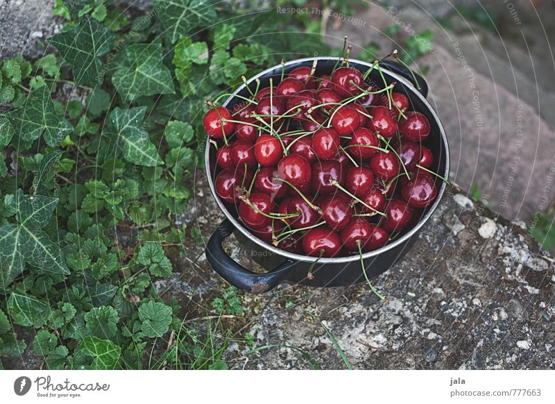 garden cherries Food Fruit Cherry Pot Nature Plant Ivy Foliage plant Wild plant Stairs Fresh Healthy Delicious Natural Colour photo Exterior shot Deserted Day