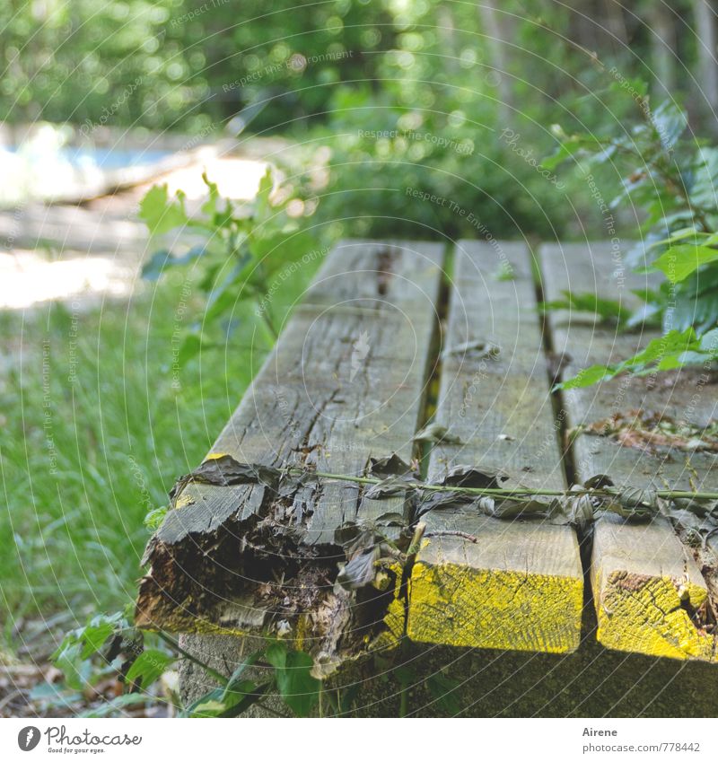 Bench - red Swimming pool Open-air swimming pool Garden bench Wooden bench Park bench Old Broken Yellow Gray Green Senior citizen Crisis Decline Transience