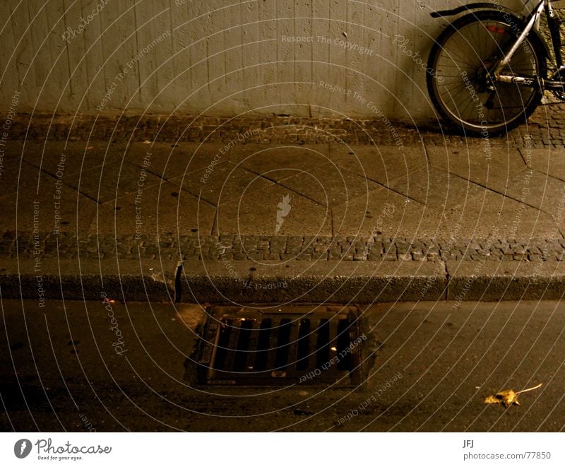 sidewalk Sidewalk Autumn Bicycle Gully Curbside Wheel Guard Leaf Town Concrete Gloomy aghast Sepia