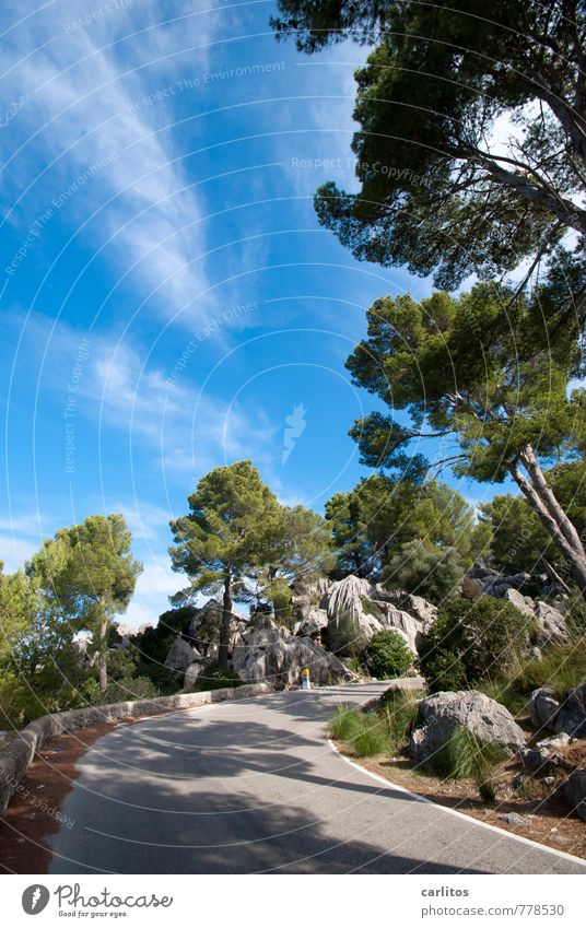 It's going up Environment Nature Landscape Plant Elements Sky Clouds Summer Beautiful weather Warmth Tree Rock Mountain Hiking Serra de Tramuntana Majorca