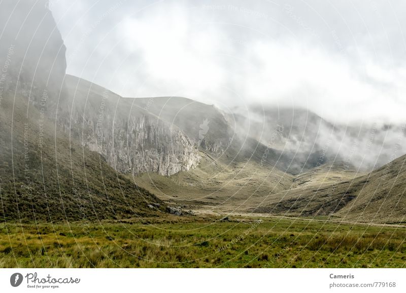 The Andes in Ecuador Vacation & Travel Tourism Adventure Expedition Mountain Hiking Environment Nature Landscape Clouds Fog Grass Bushes Hill Rock Thr Andes