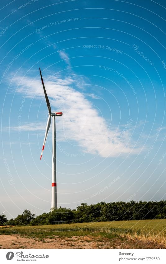 Wind Turbine Collector #1 Energy industry Renewable energy Wind energy plant Sky Clouds Spring Summer Field Eifel Large Tall Blue Green White Power Environment