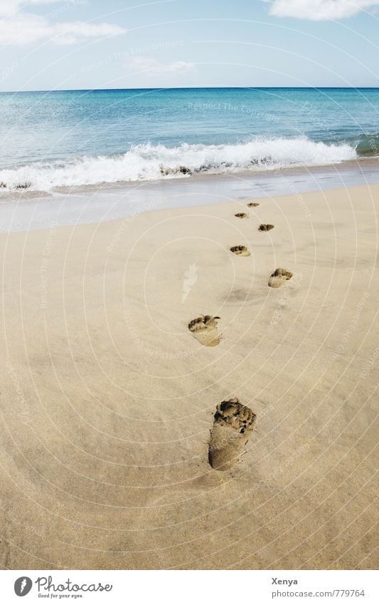 Traces in the sand Vacation & Travel Tourism Summer Summer vacation Sunbathing Beach Ocean Island Waves Sky Clouds Horizon Sand Water Relaxation Blue Brown