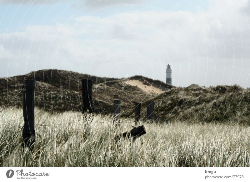 desert Sylt Lighthouse Ocean Beach Fence Summer Gale Clouds Sand marram grass Wind Island summer atmosphere Sky Nature