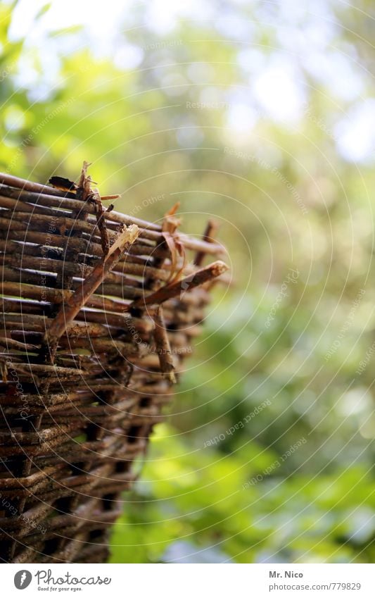 basket size Picnic Environment Nature Spring Summer Autumn Beautiful weather Plant Tree Bushes Garden Park Brown Wicker basket Basket Wicker mesh