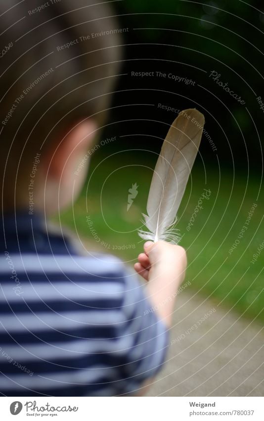 as light as a feather Human being Child Toddler Boy (child) 1 1 - 3 years 3 - 8 years Infancy Breathe Select Observe Touch Discover Flying Blue Green Joy Trust