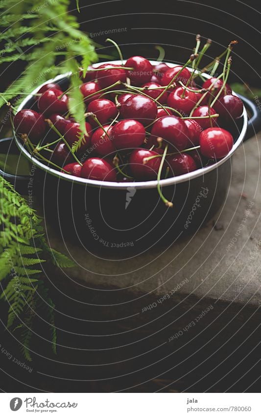 cherries Food Fruit Cherry Nutrition Organic produce Vegetarian diet Pot Healthy Eating Plant Summer Fern Foliage plant Wild plant Garden Fresh Delicious