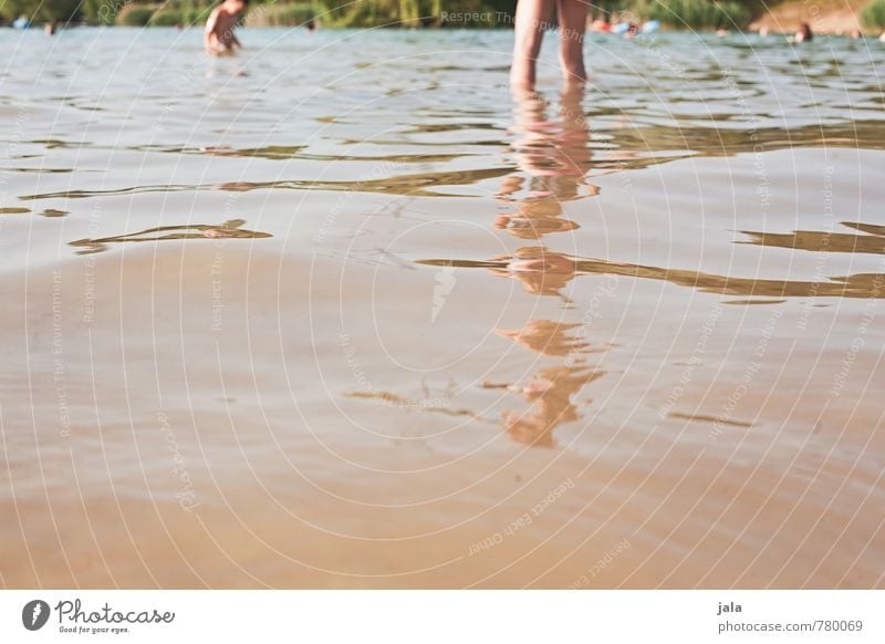 quarry pond Summer Sunbathing Feminine Legs 1 Human being Nature Landscape Lake Lake Baggersee Fresh Wet Colour photo Exterior shot Day Reflection