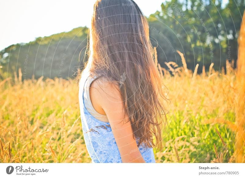 summer Feminine Young woman Youth (Young adults) Woman Adults Hair and hairstyles 1 Human being Summer Beautiful weather Tree Grass Foliage plant Meadow Field