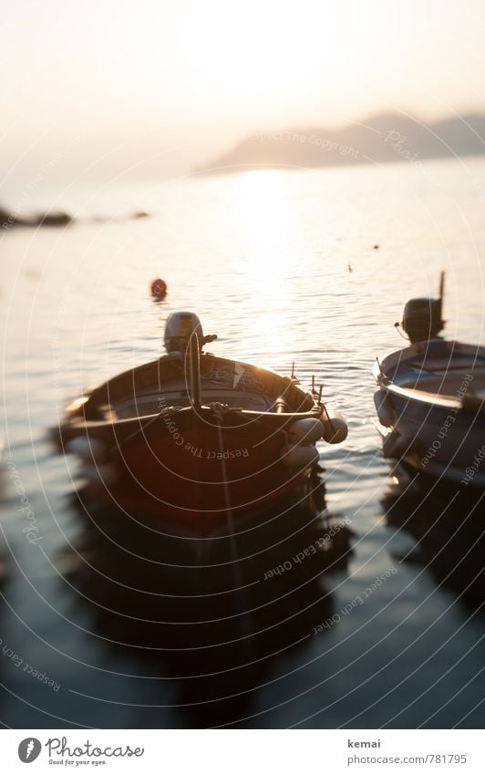 Nut shells in the light Leisure and hobbies Vacation & Travel Tourism Trip Adventure Summer vacation Sunbathing Ocean Italy Water Sunrise Sunset Sunlight