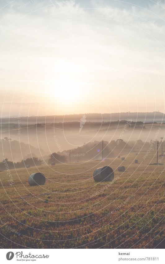 Morning Has Broken Vacation & Travel Tourism Trip Far-off places Summer Environment Nature Landscape Sky Clouds Beautiful weather Fog Tree Hay Hay bale Meadow