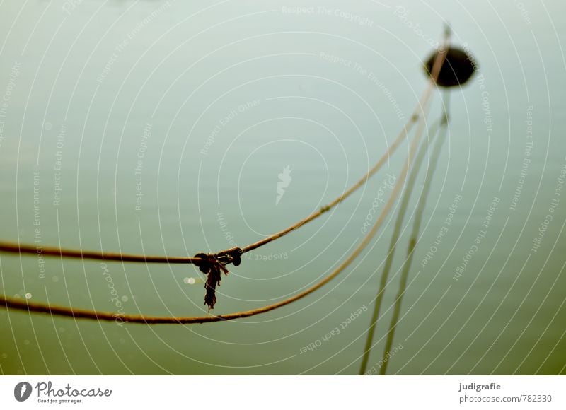 harbor Nature Water Coast Baltic Sea Lake Harbour Swimming & Bathing Protection Buoy Rope Knot Reflection Calm Colour photo Subdued colour Exterior shot