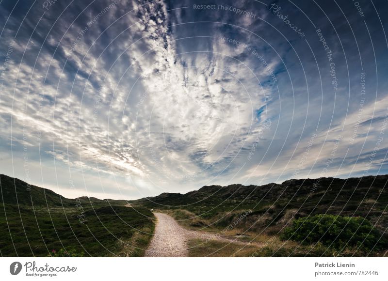 dune path Wellness Harmonious Well-being Contentment Senses Relaxation Calm Vacation & Travel Tourism Trip Adventure Far-off places Freedom Hiking Environment