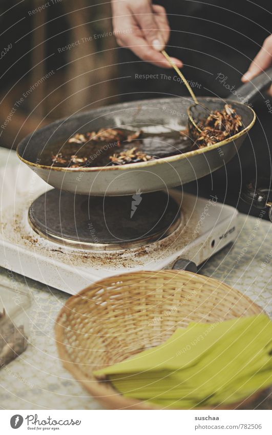 Lunch is ready. Food Nutrition Pan Hand Fingers Exceptional Disgust Exotic Delicious Locust Insect Protein Hot plate Napkin Frying deep frying Colour photo