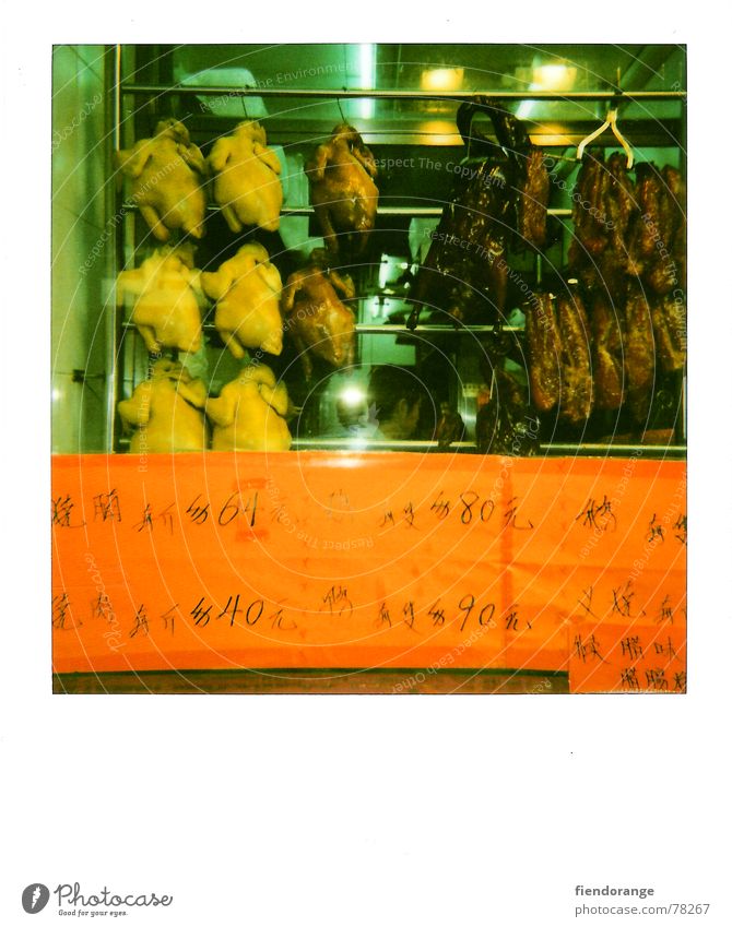 leaf cock felnost Barn fowl Rooster Snack bar Food Hongkong Nutrition Duck polaroid orange Appetite