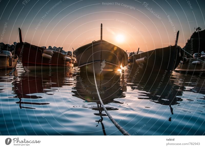 Some Boats ... Vacation & Travel Summer Summer vacation Aquatics Boating trip Water Cloudless sky Beautiful weather Coast Bay Italy Fishing boat Rope